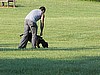 Dog Training